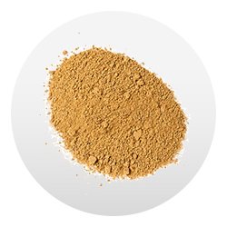 VITAMINAK2-GRANDE_b3df13a6-fb7d-4961-b391-88b784810bda.png