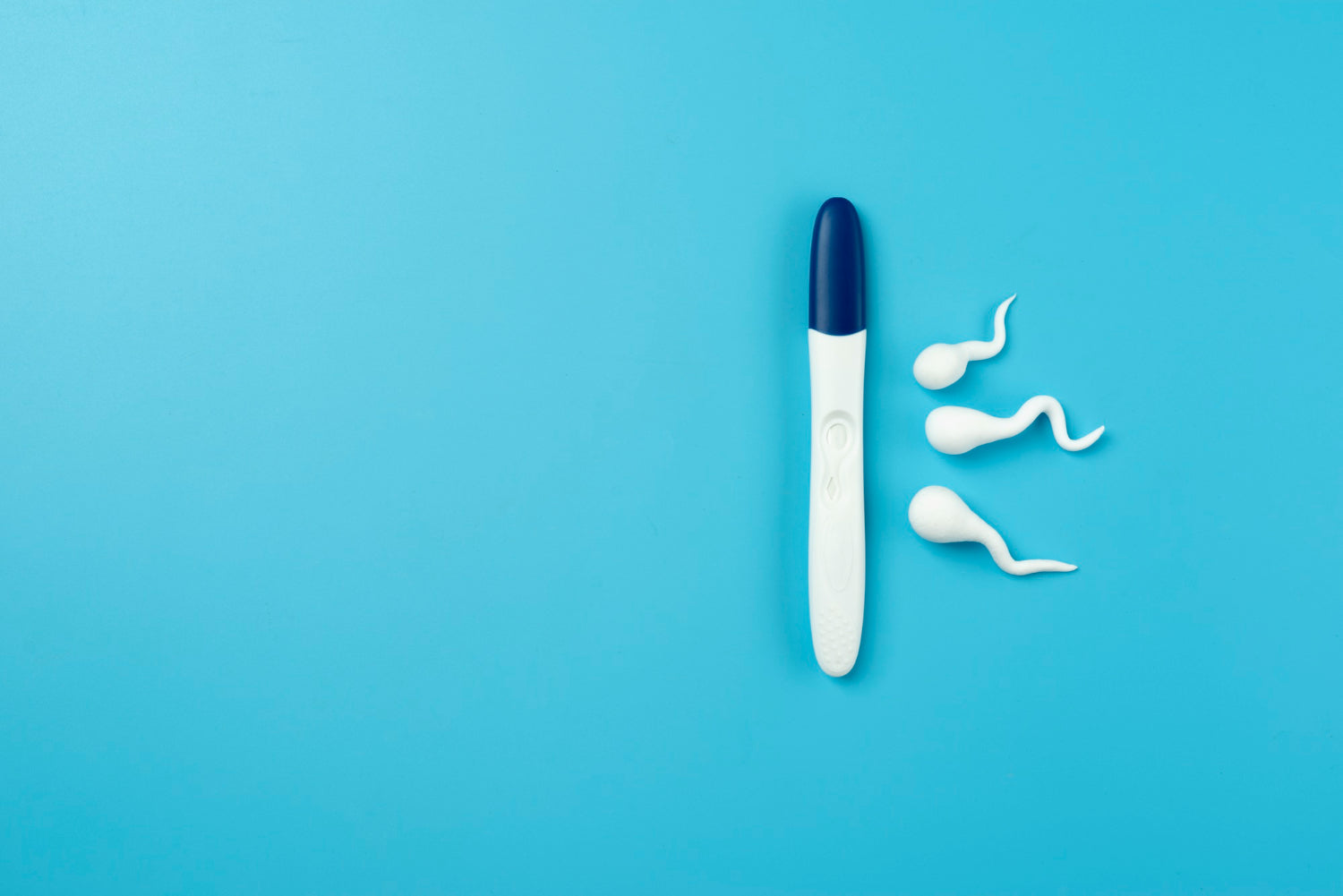 Espermiograma con valores normales de espermatozoides en un estudio de fertilidad masculina