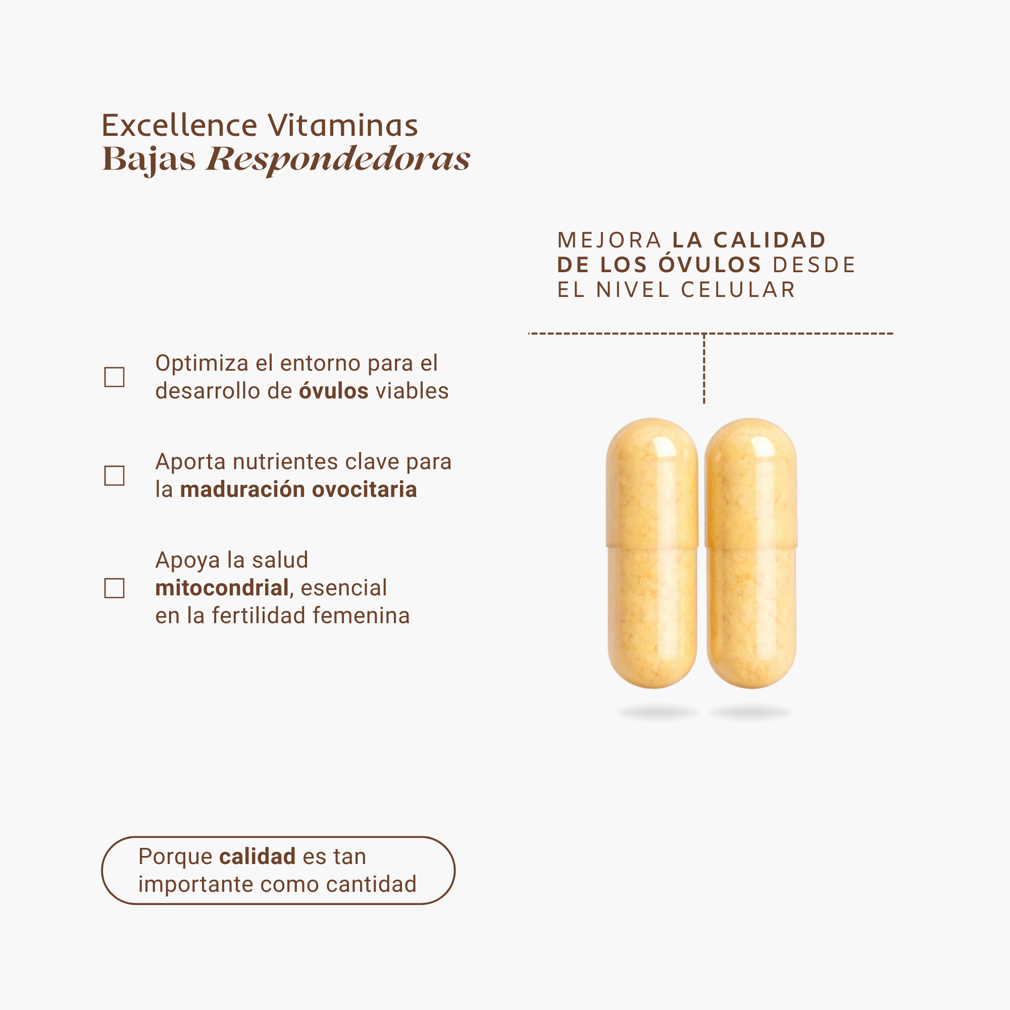 Excellence Bajas Respondedoras