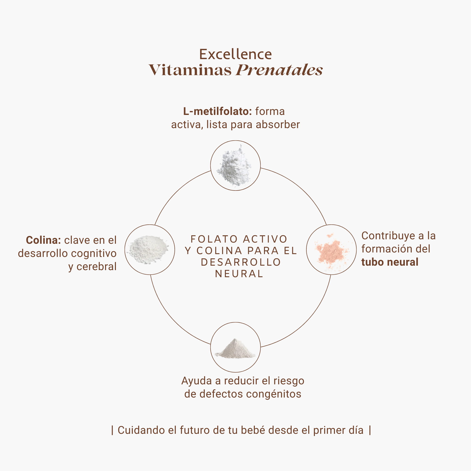 Excellence Vitaminas Prenatales