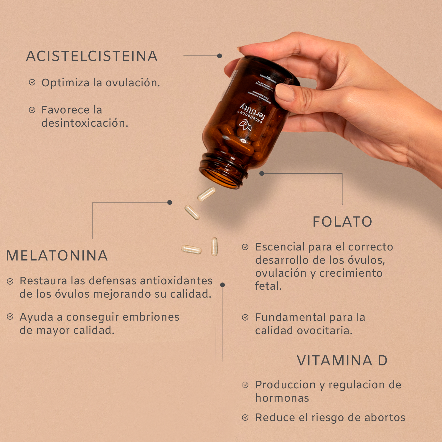 EXCELLENCEBAJASRESPONDEDORAS_f021c34b-36bf-4105-bb7f-3cd0dbed58e9.png